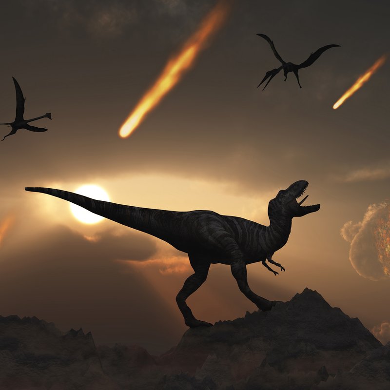 Death of the Dinosaurs webpage