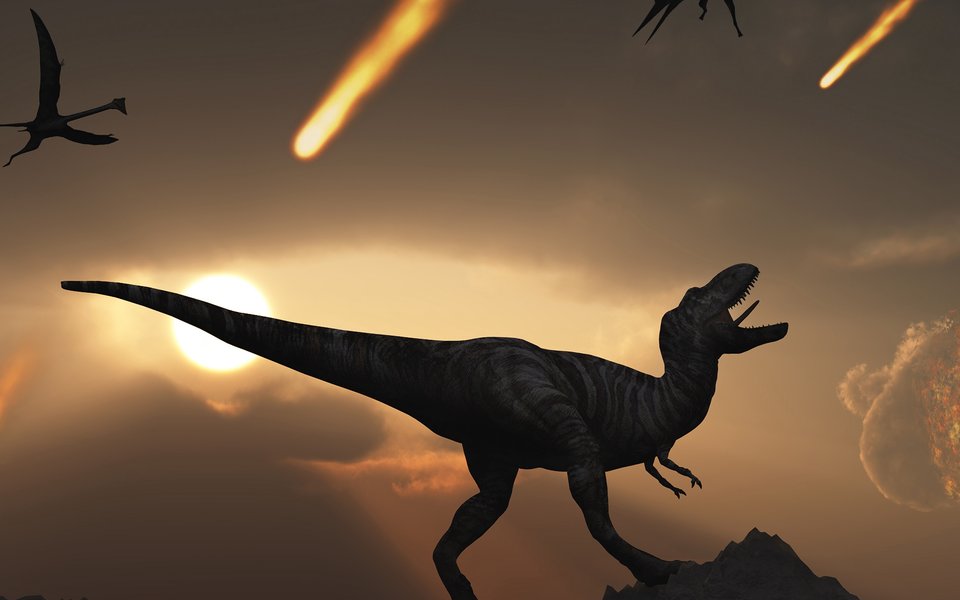 Death of the Dinosaurs webpage