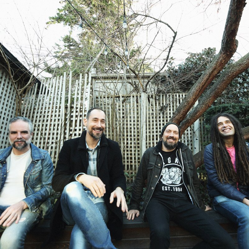 Moneen webpage