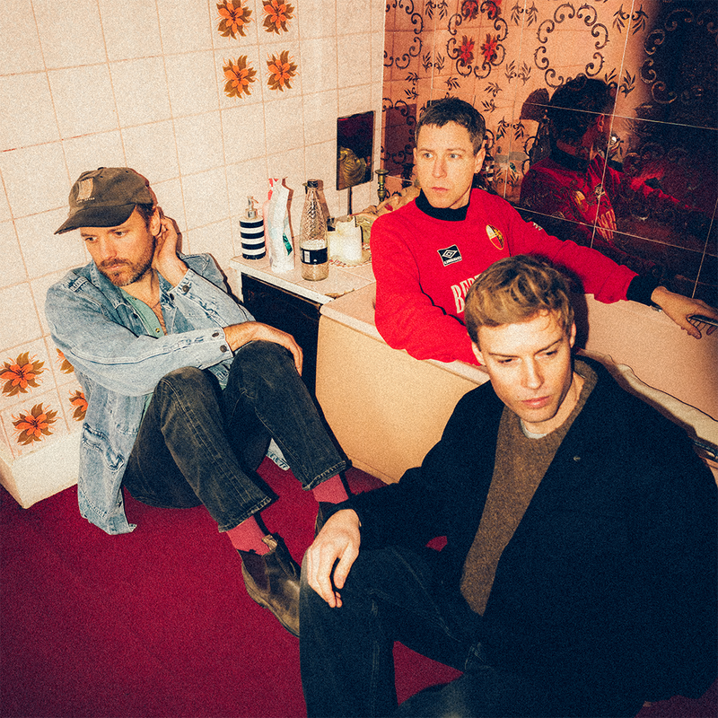 Palace webpage