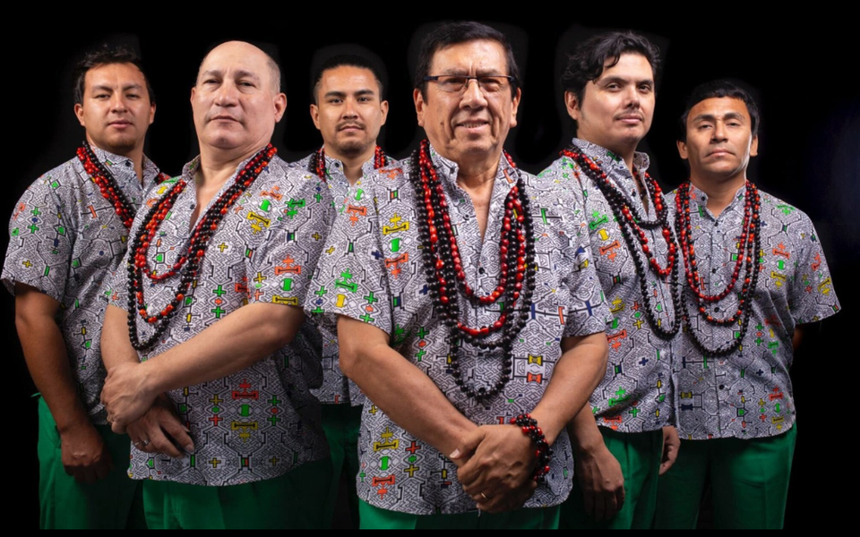 Los Mirlos webpage